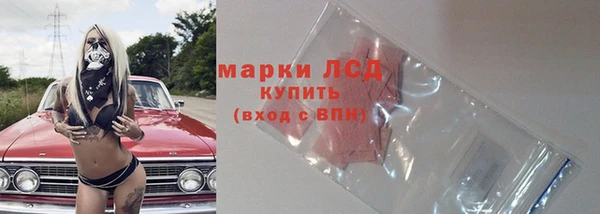 шишки Богданович