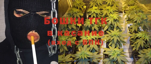 PSILOCYBIN Аша
