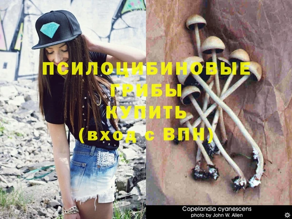 mix Белая Холуница