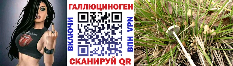 Псилоцибиновые грибы Magic Shrooms сколько стоит Дмитриев